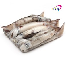 새우몰 오징어회 가능 -60도 횟감 오징어 1kg 살아있는 그대로 고속급랭, 1개, 중 1kg(6-9미)