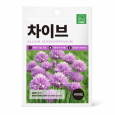 주주씨앗 차이브 씨앗 400립 챠이브 향신료 허브씨 종자 씨앗몰, 1개 1개