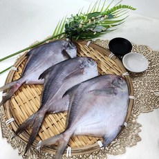 반건조 병어 여수병어 제수용 선물용 손질병어 구이 조림용, 1세트, 100g~140g *8마리