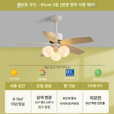 STAY 전등실링팬 방등 거실등 조명실링팬, 1개, 36 듀얼 컨트롤 B