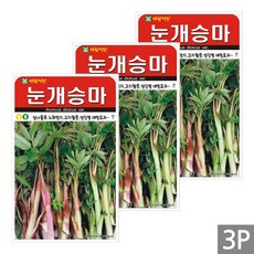 세인화분 눈개승마 500립 - 국산 씨 씨앗 삼나물, 3개