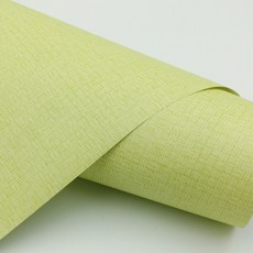 단색 포인트벽지 붙이는벽지 녹색벽지 스페스