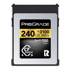 ProGrade Digital CFexpress 4.0 Type B GOLD 240GB 3100MBs 1600MBs) 메모리 카드 (읽기 쓰기, 1개