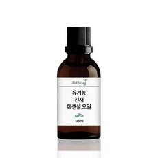 유기농 진저 에센셜 오일 천연 아로마오일 테라피, 1개, 10ml, 진저향