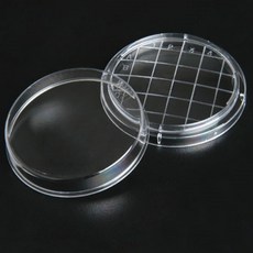 SPL Rodac plate 60x16.7mm 500개(box) 격자형 로닥 플레이트 페트리디쉬 10061, 선택2 10063_Flat bottom, 1개