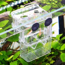 구피 치어 열대어 물고기 격리 부화 통 어항 소형 zli+08845FL, 1