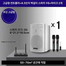 벽걸이 무선 스피커 세트 상업용 댄스실 기기, 화이트 스피커 1개+무선 마이크 2개, 공식 표준 구성