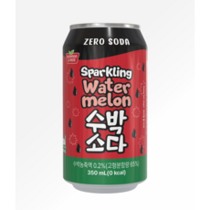보람바이오 수박소다 제로(뚱뚱), 24개, 350ml