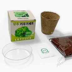 베란다 텃밭 상추 키우기 세트 미니 화분 식물재배 키트 야채재배기