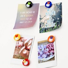 강력 자석홀더 컬러 7개입 20mm 사무실