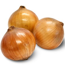 창녕 햇양파 대 특대 대용량 특품 최상품, 1개, 양파_1kg(특대)