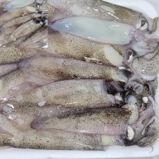 팔땨 냉동 총알한치 1kg 볶음용식재료 슬라이스 냉동한치