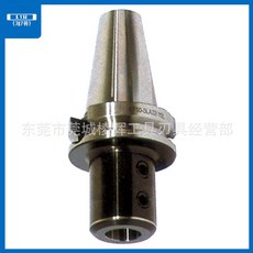 L1H 側固式銑刀柄, 1個, bt40