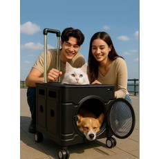 반려동물 이동가방 강아지 기내용 캐리어 고양이 백팩, 1. 소형 그레이화이트