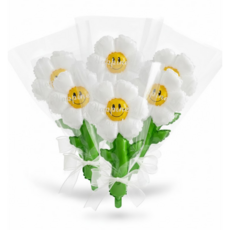 베르트폴 데이지 꽃다발 풍선키트, 5개, 화이트
