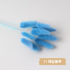 화연양화 프리저브드플라워 선별 라그라스 강아지풀 10개입, 11 페일블루