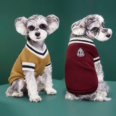 마법학교 산책옷 반려견 기모 옷 강아지 맨투맨 겨울 강아지, 레드