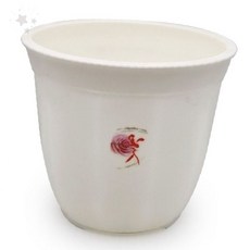 한아름 다육이 희귀다육 공기정화식물 키우기쉬운 다육식물, 1개, 상세페이지 참조