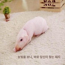 추상 돼지 인형 인테리어 소녀 선물용 베개