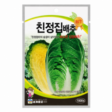 세계종묘 친정집배추 김장 배추 씨앗 종자 1000립 속노란 황심계 종자 텃밭 주말 농장 노지 재배, 1개