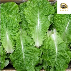 국내산 청상추, 1개, 1kg