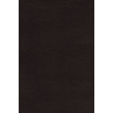 Nasb Thinline Bible Large Print Passaggio Setting Leathersoft Black Red Letter 1995 Text Com... Imitation Leather, Zondervan, English, 9780310456728