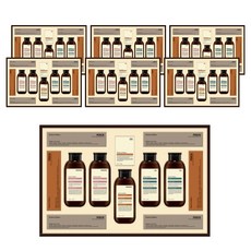 LG생활건강 프리미엄 모던에디션 에센셜 선물세트 + 쇼핑백, 7세트