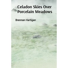(영문도서) Celadon Skies Over Porcelain Meadows: A Ceramicist's Odyssey Through Form Text... Paperback, Brennan Hartigan, English, 9798348397487