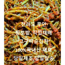 "직접농사 한땀한땀 쩝질제거 한 "고구마순김치" 은은한 젓갈맛 전라도 김치 100% 국내산재료사용., 1개, 500g