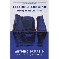 Feeling & Knowing: Making Minds Conscious, Vintage Books