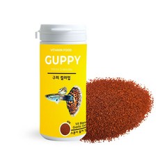 아쿠아리노 컬러업 구피 비트 사료, 1개, 100ml