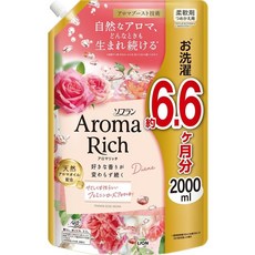 소프란 아로마 리치 다이애나 리필 메가점보, 2L, 1개