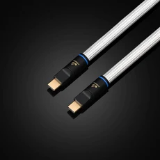 Hifi 업그레이드 USB 오디오 케이블 유형 A에서 B A-CC-B C-C DAC용 차폐, 06 1미터, 02 type C to type C