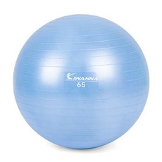 짐볼 운동짐볼 65cm 라벤더 블루 마사지볼+새론무역Shop, 빠른배송