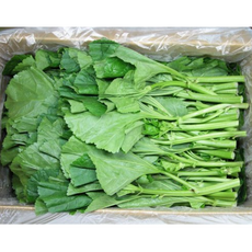 싱싱한 아욱 4kg내외 박스, 1개, 4kg