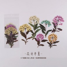 식물 꽃 장식 스티커 잡지 스크랩북 소재, 1개, 1개, 4. 3