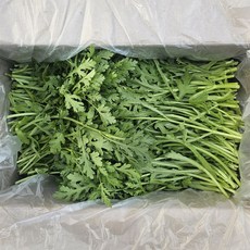 클릭마켓 국내산 쑥갓 쑥갓나물 제철채소, 1개, 1kg