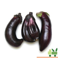 사라상회 가지 2Kg (보통), 1개