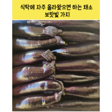 [임가네농산] 국내산 가지 보랏빛 채소 가지 가지박스 가정용 가지 가지요리, 1개, 5kg