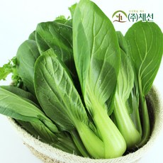 아삭한 식감 부드러운 국내산 청경채 1kg, 1개