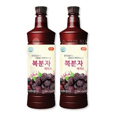 광야 늘감사 복분자 베이스, 2개, 970ml