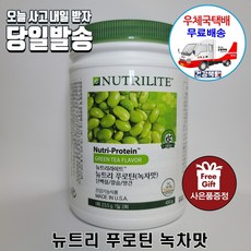 암웨이 뉴트리 푸로틴 (녹차맛) + 사은품 (미니 컬러빗) 증정 [우체국택배], 1세트, 450개입