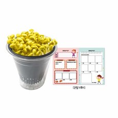 다팔아 콩나물 키우기 과학체험키트