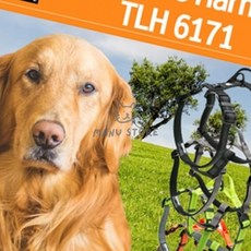 [오마누] 대형견목줄 강아지목줄 산책줄 강아지가슴즐, 그린색 XS