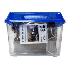 브라더팜 장수풍뎅이 애벌레 사육세트 블루 중형, 1개