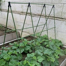 생활잇 DIY 식물 지지대 11mm 180x180cm 덩굴식물지지대