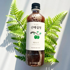 산매실청 무설탕 임산부 입덧 매실원액 액기스 엑기스, 1개, 1개, 500ml