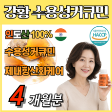 데일업 강황 추출물 커큐민 수용성 가루 HACCP 식약처 인증 가성비 면역력 몸속 케어 영양공급, 4개, 60정