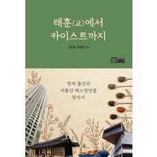 태훈(교)에서 카이스트까지:영재 출산과 저출산 해소방안을 찾아서, 밀알, 김인술,최윤정 저