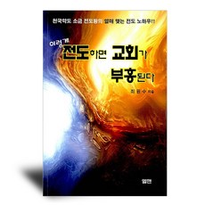 이렇게 전도하면 교회가 부흥된다, 엘맨, 최원수
